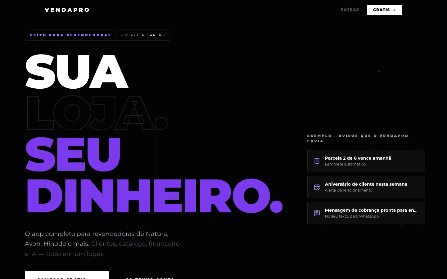 VendaPro: site no computador